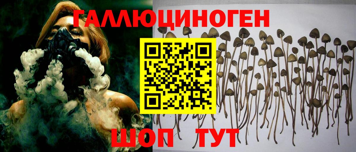 Татарск  Псилоцибиновые грибы ЛСД  Галлюциногенные грибы мицелий  Вход с VPN 